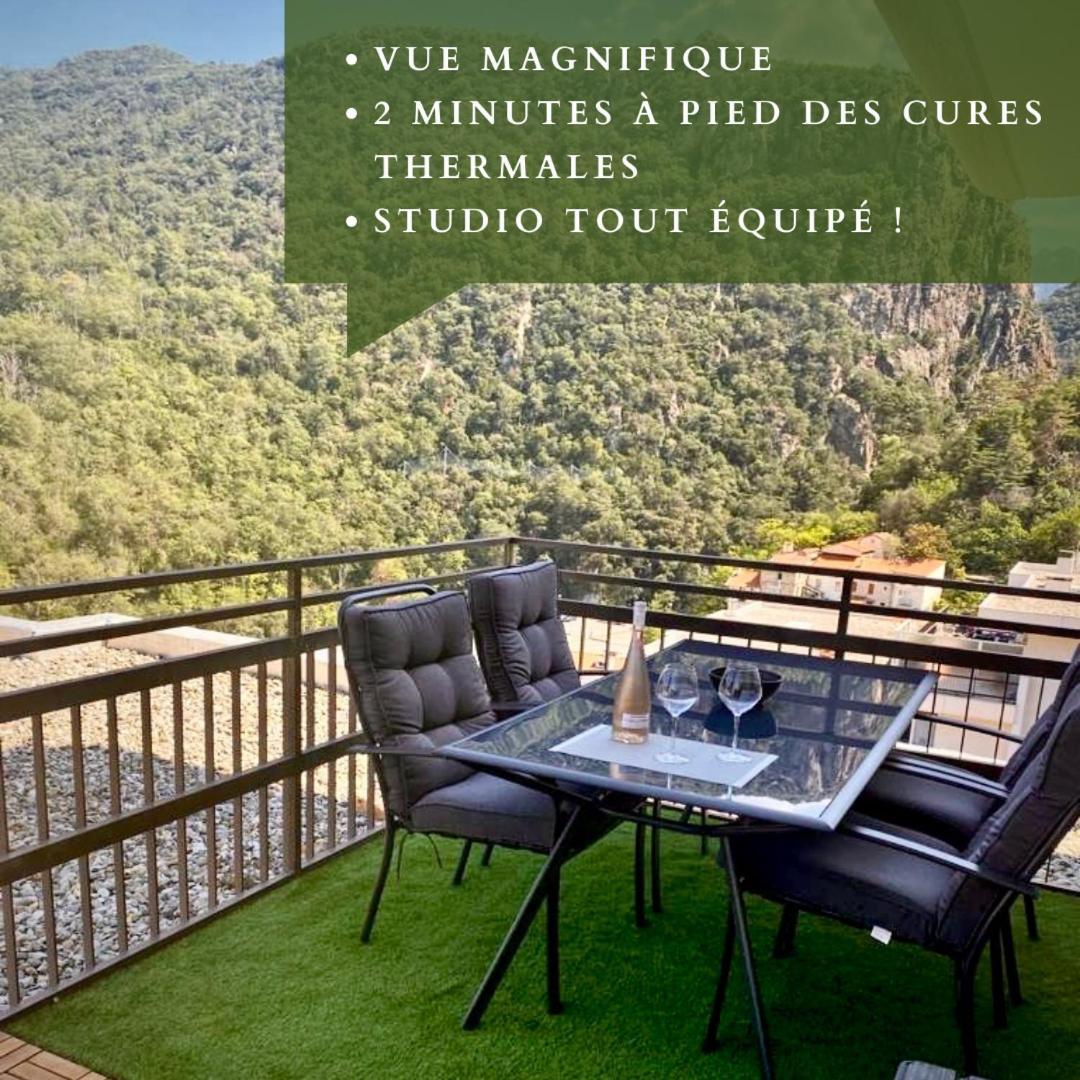 Studio Tout Equipe Amélie-les-Bains-Palalda Dış mekan fotoğraf