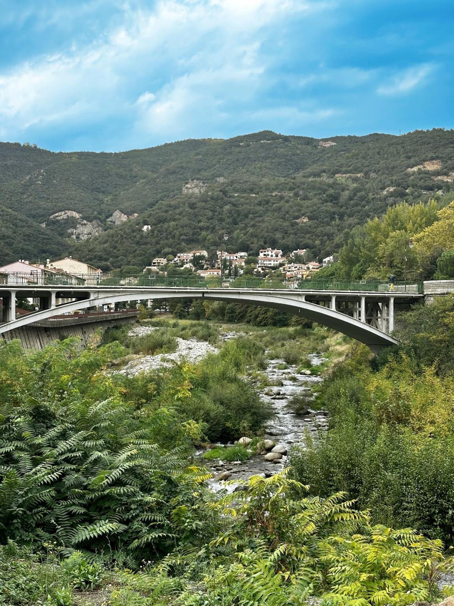 Studio Tout Equipe Amélie-les-Bains-Palalda Dış mekan fotoğraf