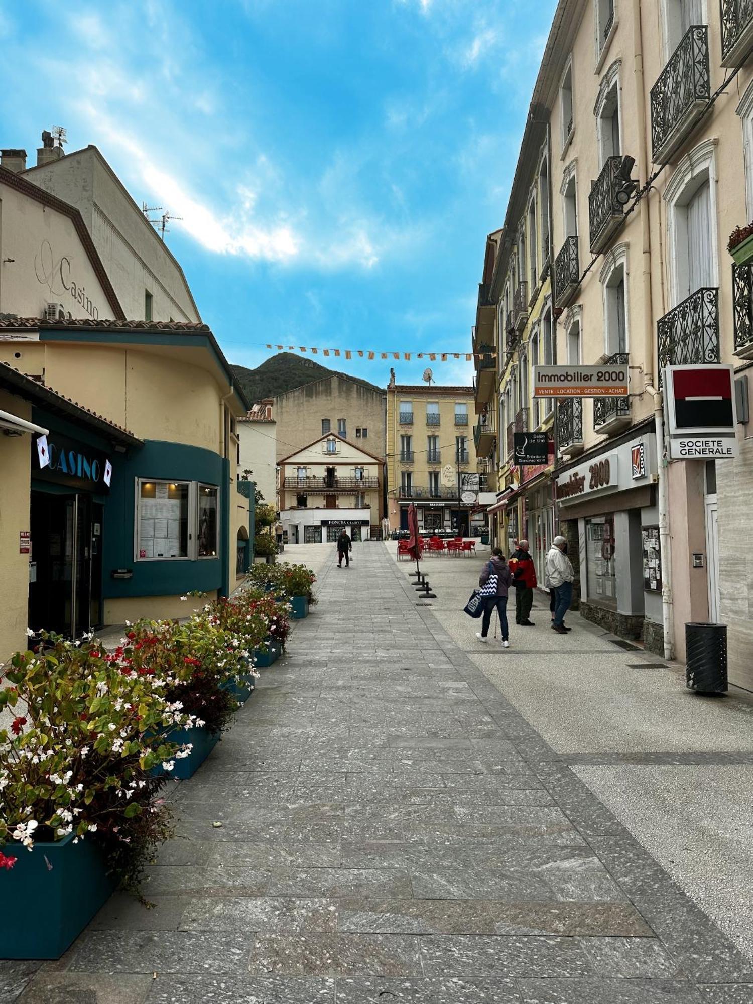 Studio Tout Equipe Amélie-les-Bains-Palalda Dış mekan fotoğraf