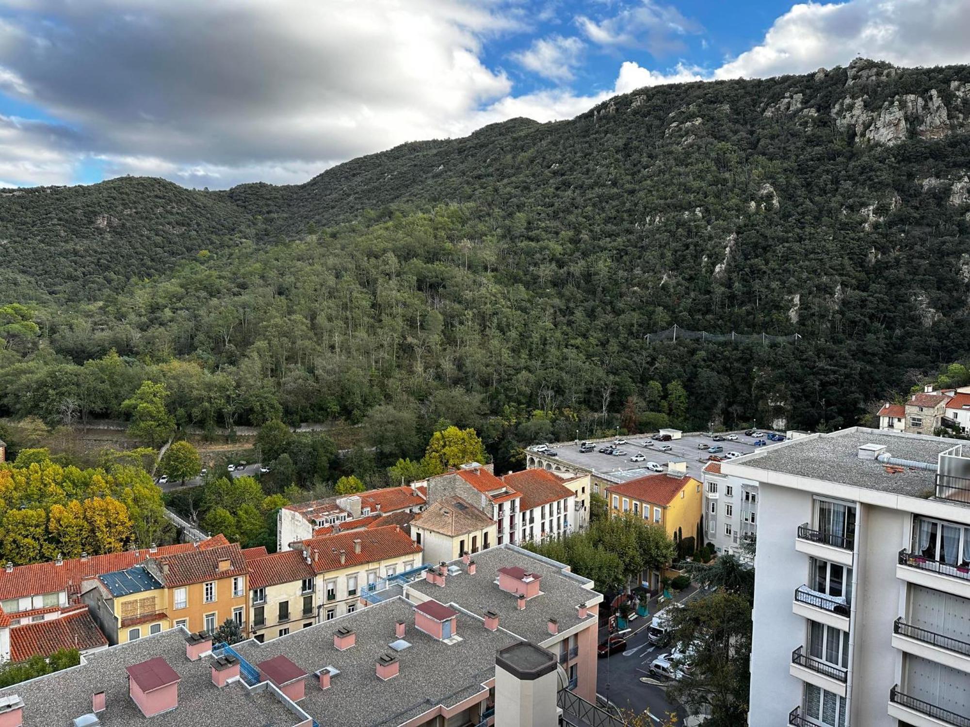 Studio Tout Equipe Amélie-les-Bains-Palalda Dış mekan fotoğraf