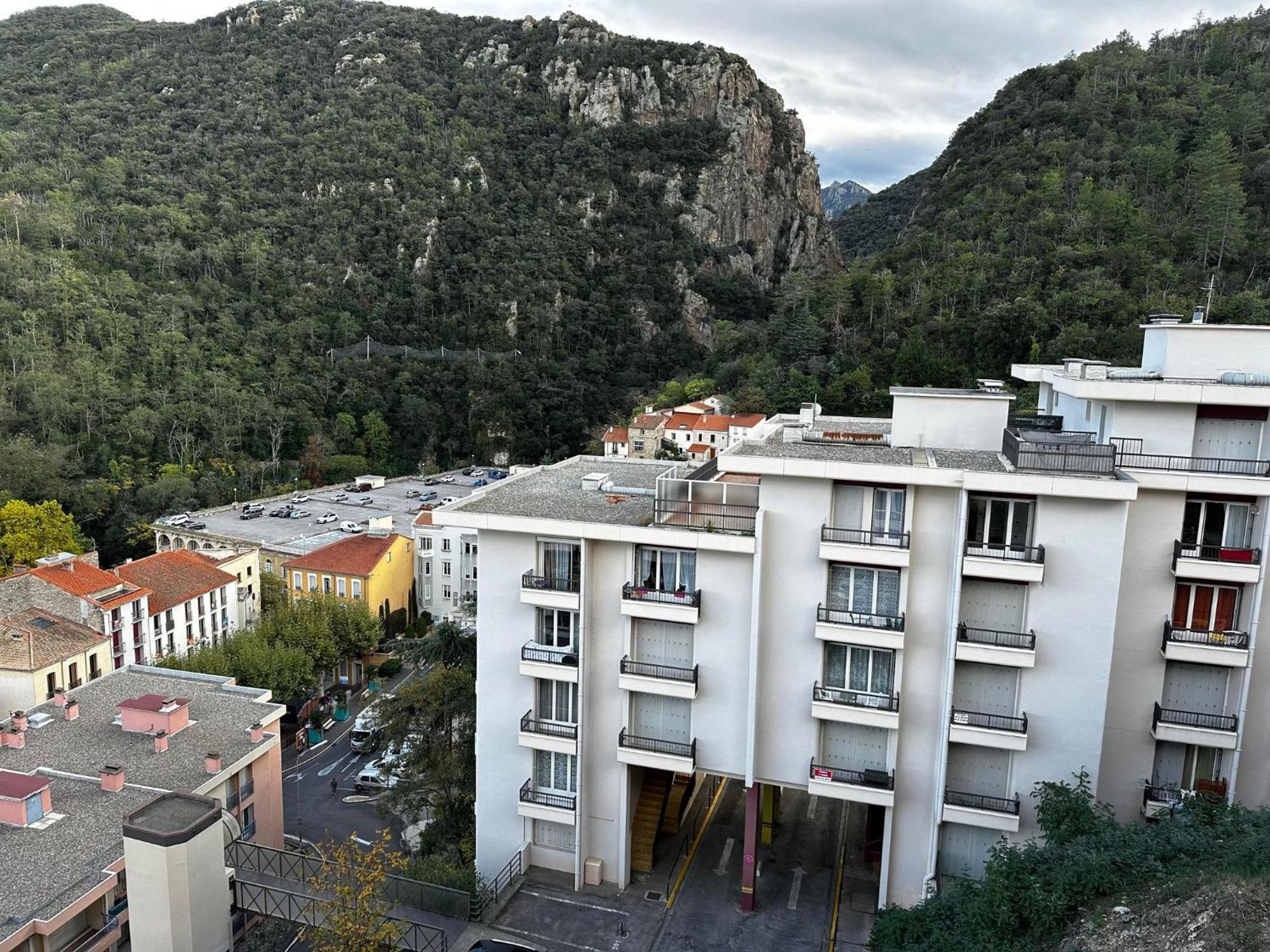 Studio Tout Equipe Amélie-les-Bains-Palalda Dış mekan fotoğraf